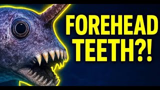 “Ghost Sharks Grow Teeth on Their Forehead — Evolution’s Wildest Trick”