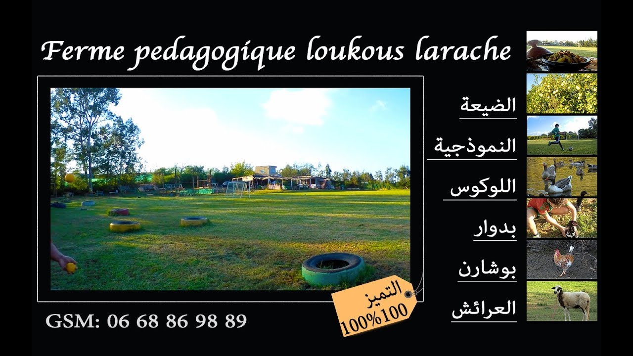 إكتشف روعة الضيعة النموذجية اللوكوس بدوار بوشارن بالعرائش