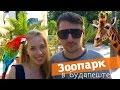 Зоопарк в Будапеште | Один из лучших в Европе?