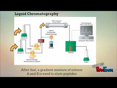 rp hplc youtube rp hplc