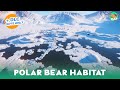 Realistic Polar Bear Habitat Speed build - Arctic Research Station - Planet Zoo