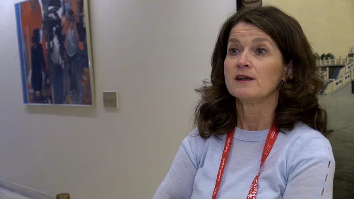 Global IGF 2017: Madeline Carr on Internet Regulat...