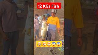 🤩 Gold Fish 12 KGs Pandugappa 🤩 #viral #reels #fish #fishing #youtubeshorts #ytshorts #bigfish