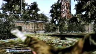 Call Of Duty 5 Asylum Glitch PS3