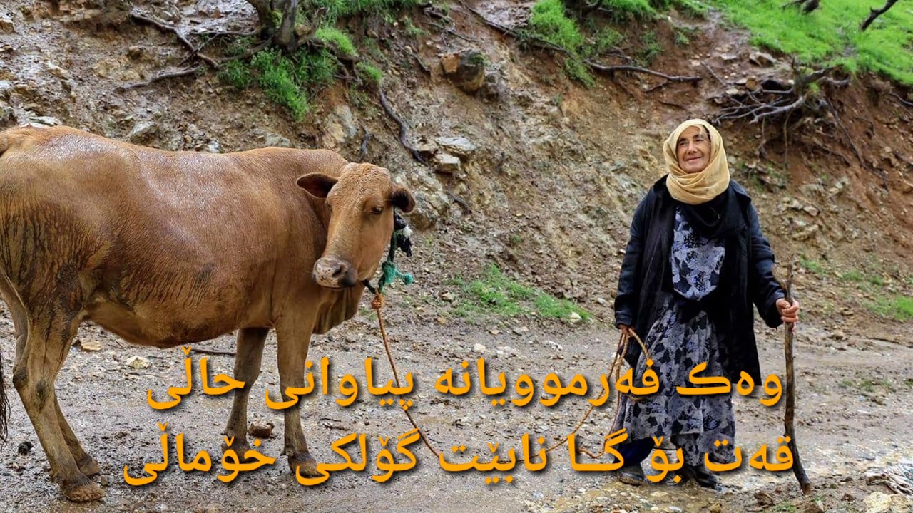 baban babani پەندی پێشینان  pandi peshinan