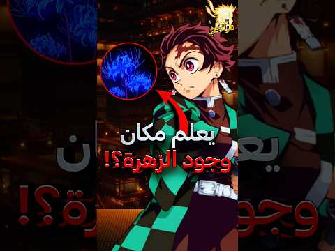 هل تعلم انه تانجيرو يعرف مكان الزهرة التي يتمنى موزان الحصول عليها قاتل الشياطين