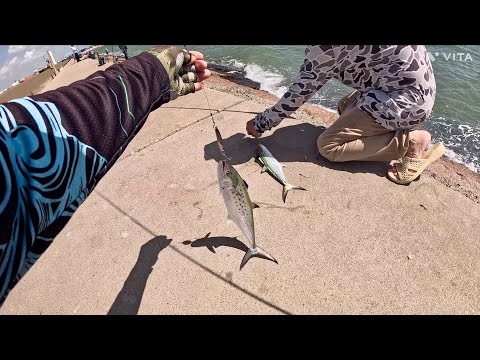 Freeport Surfside Jetty Fishing Spanish Mack Attack June 2025