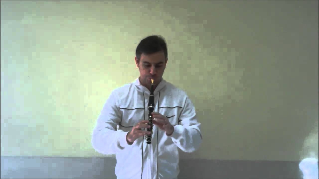 Rubens Küffer - Exploring dynamics on an original French flageolet