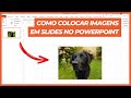 COMO COLOCAR IMAGENS EM SLIDES NO POWERPOINT