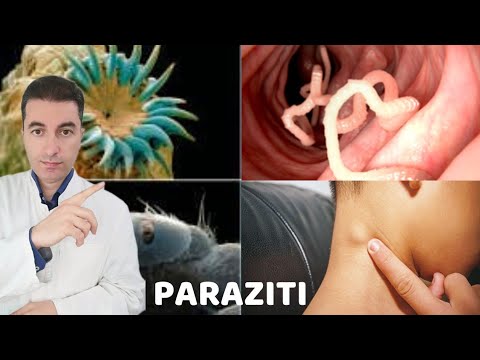 Video: Gdje paraziti žive u ljudskom tijelu?