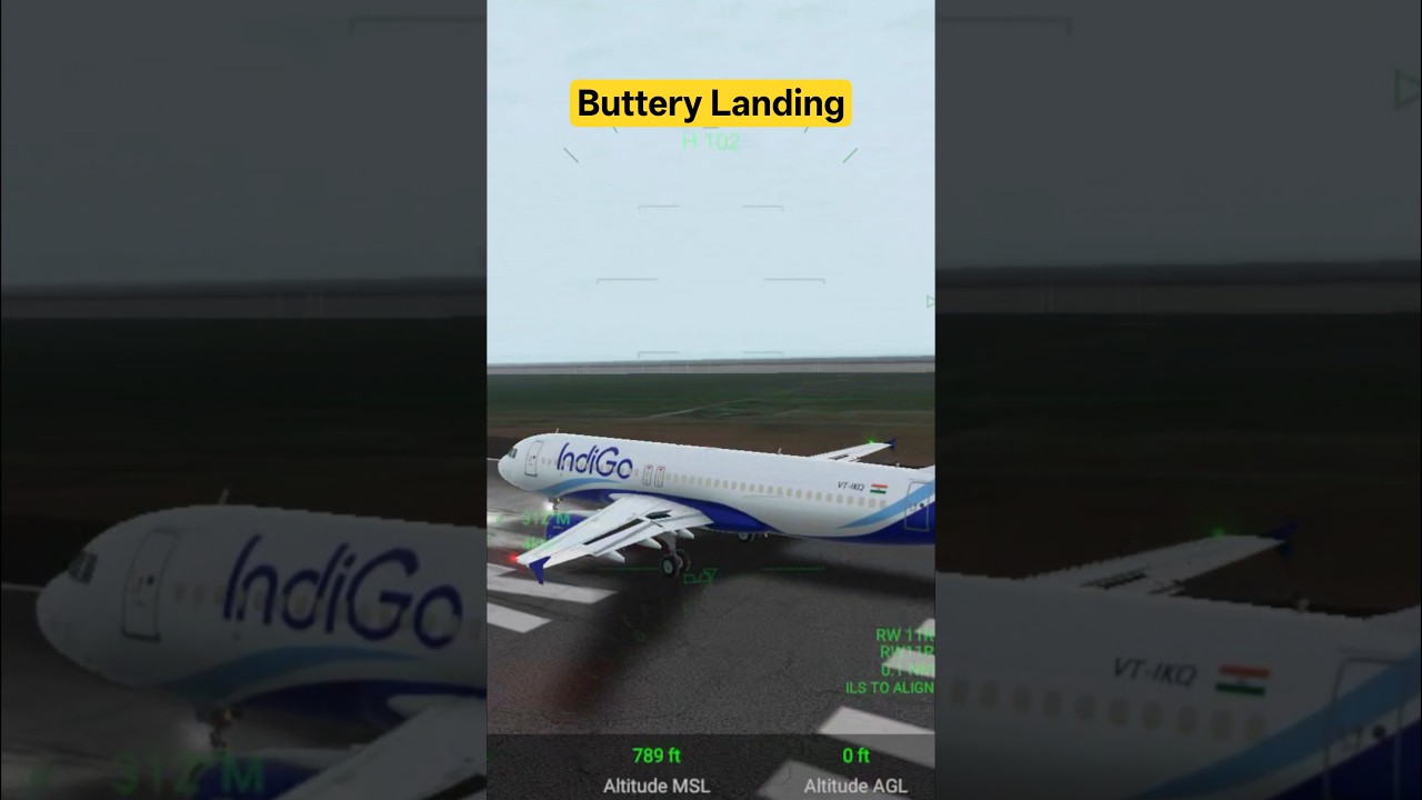 Real Fight Simulator RFS 