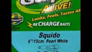 Berkely Gulp Squido Bait