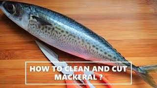 ഇനി എളുപ്പത്തിൽ അയല മീൻ വൃത്തിയാക്കാം!|| Greasy mackeral/Aiyla easy cleaning and cutting 4 beginners