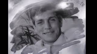Beautiful Pain - Tribute to Eric Roberts