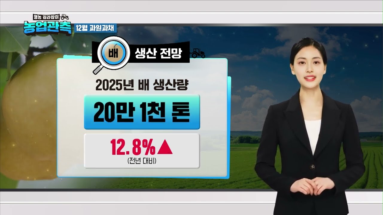 [농업관측] 2025년 12월 과일과채
