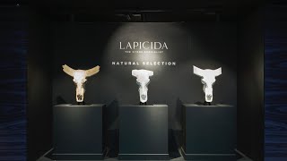 Lapicida at Decorex 2014 US