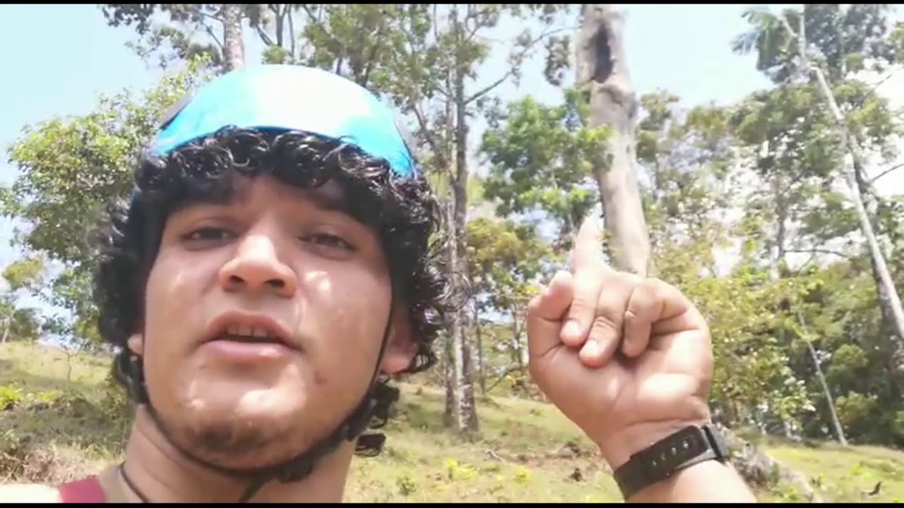 Observations of a wild Great Green Macaw nest: Monitoring Program