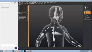 Cryblend Character - Animation - Skin export