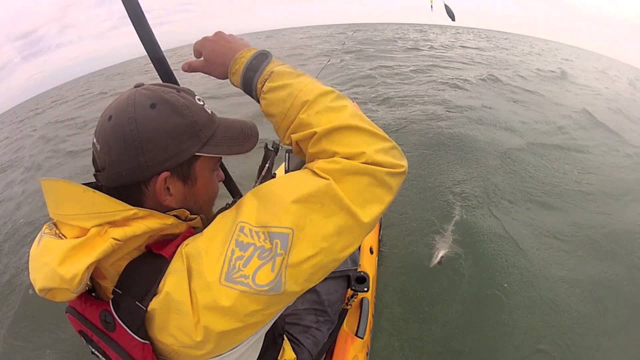 Fishing With Mack Kayak Fishing Ireland Smooth Hound in Cahore YouTube