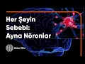 Ayna Nöronlar | Bilim Dünyasının En Önemli Keşfi