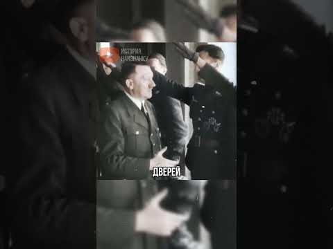 Гитлер три года жил в приюте для бездомных в Вене