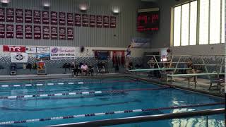 Dive 201c (Back Dive)