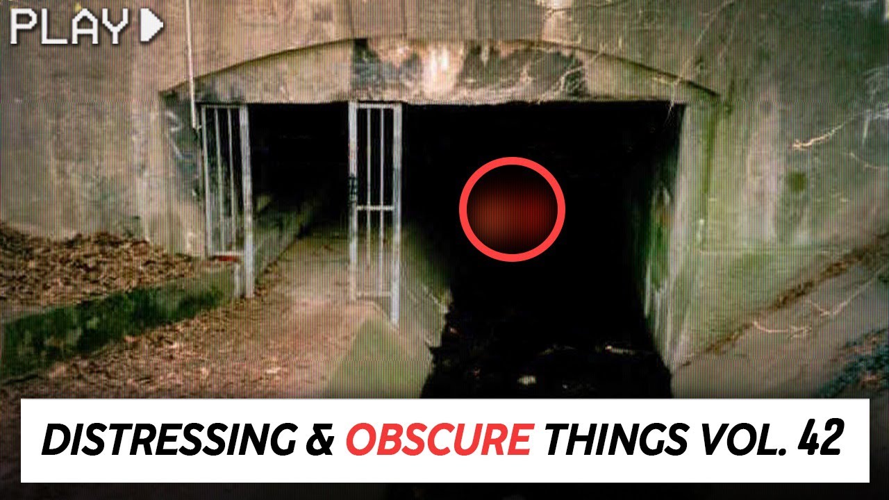 Disturbing Things From our World [Vol. 42] - YouTube