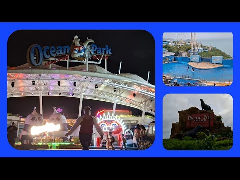 MARINE WORLD || DOLPHIN SHOW || 05-17-74 5-17-2026 #fyp #viral