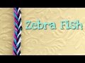 rainbow loom bands zebra fish tutorial