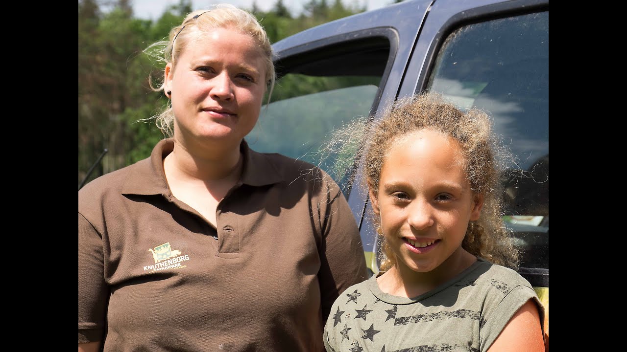 Dyrepasser for en dag