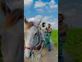 الواد ساب أبوه فى الغيط وروح الريف المصرى ضحك