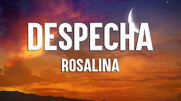 ROSALÍA - DESPECHÁ (Letra/Lyrics)