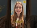 Major police update in Lucy Letby case explained