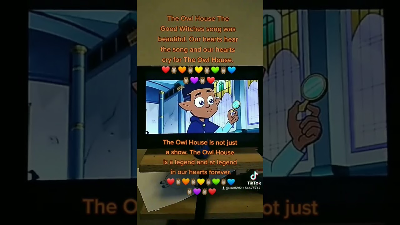 The Owl House The Good Witches🦉❤🦉
