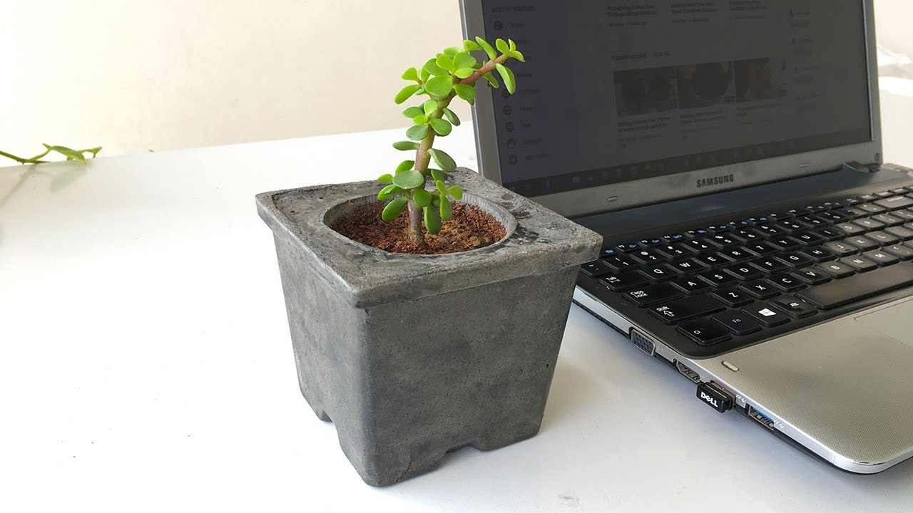 Making Cement Planter for Desk / DIY Concrete Desktop Planter - YouTube