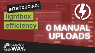 Lightbox by Cway: See How Teams Manage Packaging Artwork Files screenshot 4