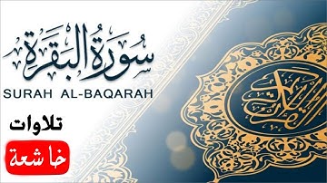 سورة البقرة كاملة بصوت كمال انس الصبيحي - تلاوة تهز القلوب