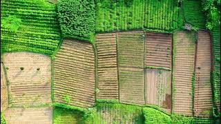 Relax Music - Degung Sunda Karedok Leunca