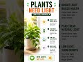 Plant Care Hacks That Actually Work 🌿 #viral #facts #trending #plantcare #plantgoals #planttherapy