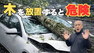 True Story] Fallen Tree Trouble! Compensation of XXX Million Yen