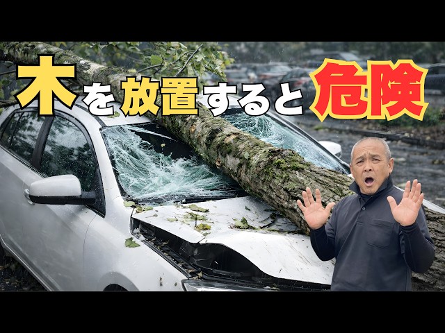 True Story] Fallen Tree Trouble! Compensation of XXX Million Yen