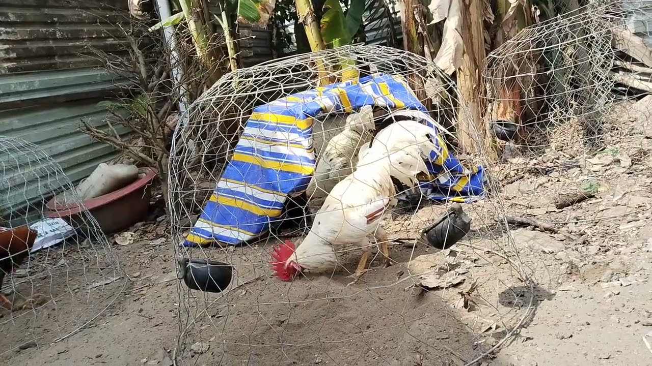 Top mới cho anh em đón xuân/03/49/871/555@