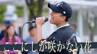 【歌詞付】歌唱偏差値東大レベル!?誰もが認める歌うまシンガー ここにしか咲かない花 / コブクロ【川崎路上ライブ23.9.10】by 髙橋一輝