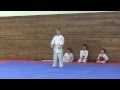 Ката тайкиоку шодан, taikyoku shodan kata