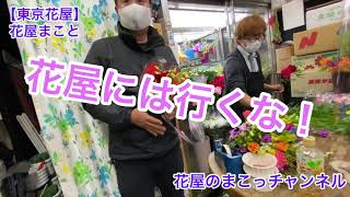 【東京花屋】For You！カメラマンのお父さんへ誕生日祝いに花束をプレゼント！花屋のまこっチャンネル！
