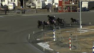 Vidéo de la course PMU PRIX CARPE DIEM