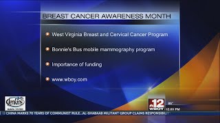 Breast Cancer Awareness Bonnies Bus