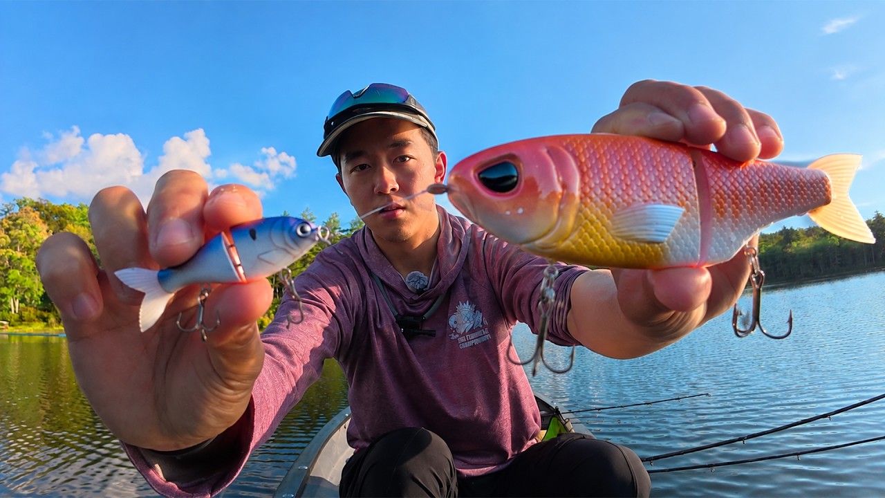 Should You Use TINY Lures or BIG Lures in Overfished Ponds?