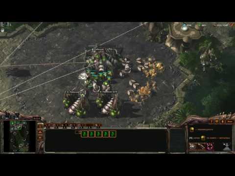 Видео: ZERGTV vs зрителей - StarCraft 2