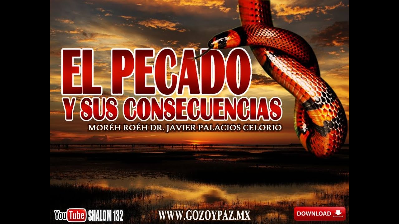 EL PECADO Y SUS CONSECUENCIAS  - Roeh Dr. Javier Palacios Celorio